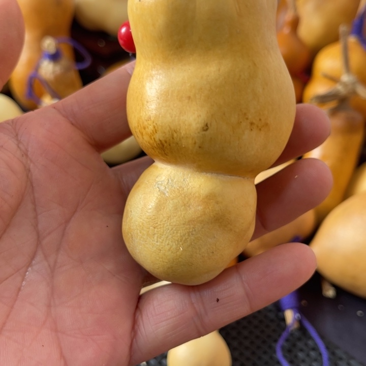 S***6葫芦哈哈哈哈哈哈哈哈