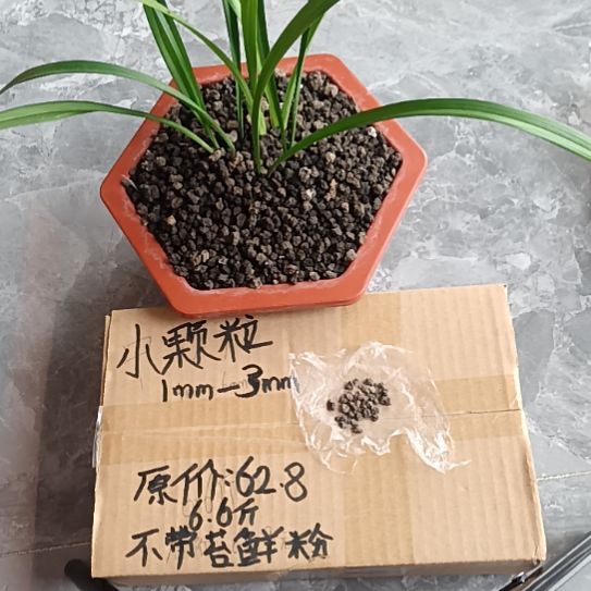 清***霜兰菌黑山土小颗粒6.6斤