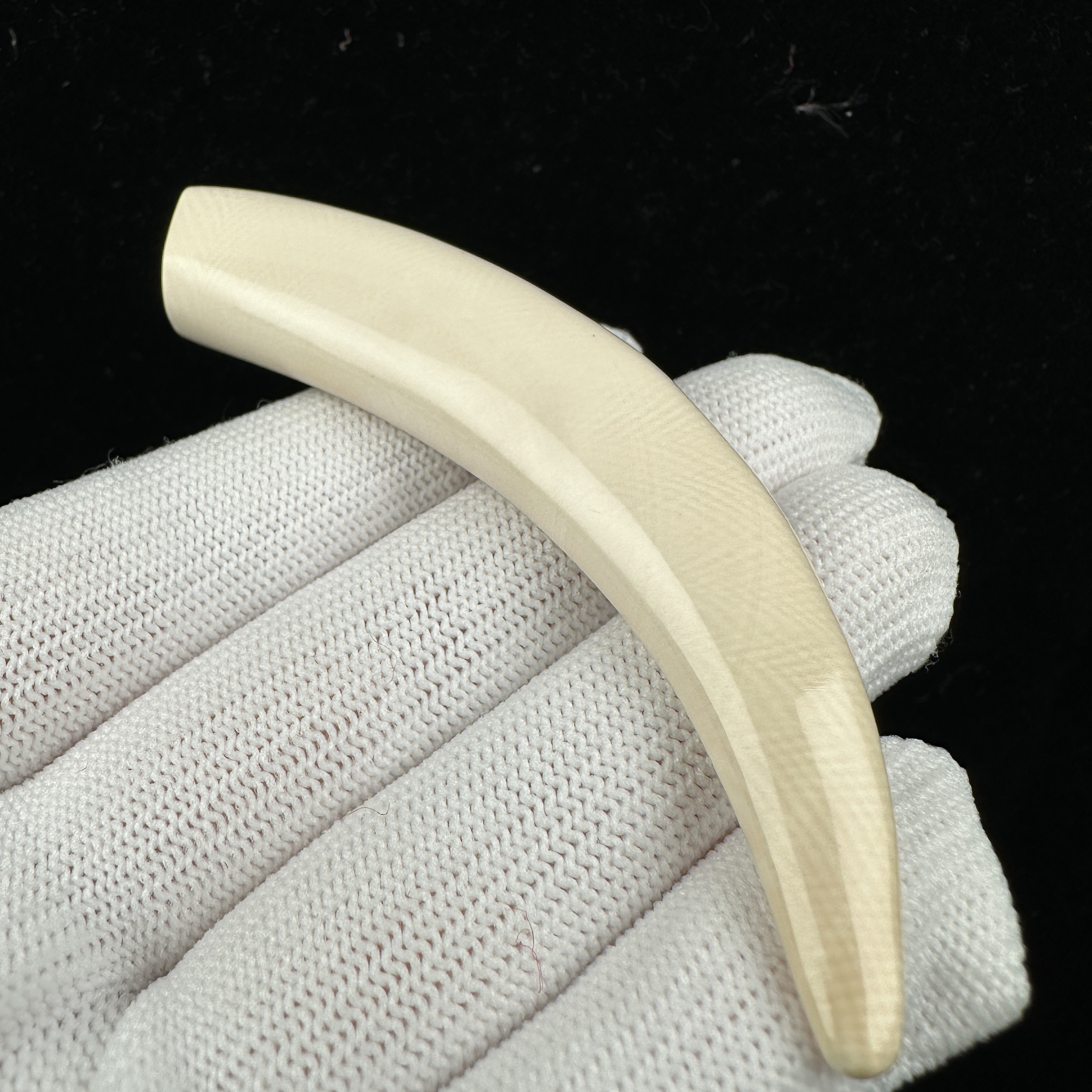 D4467天然猛犸牙 牙尖 83.3mm支持鉴定 假一罚四