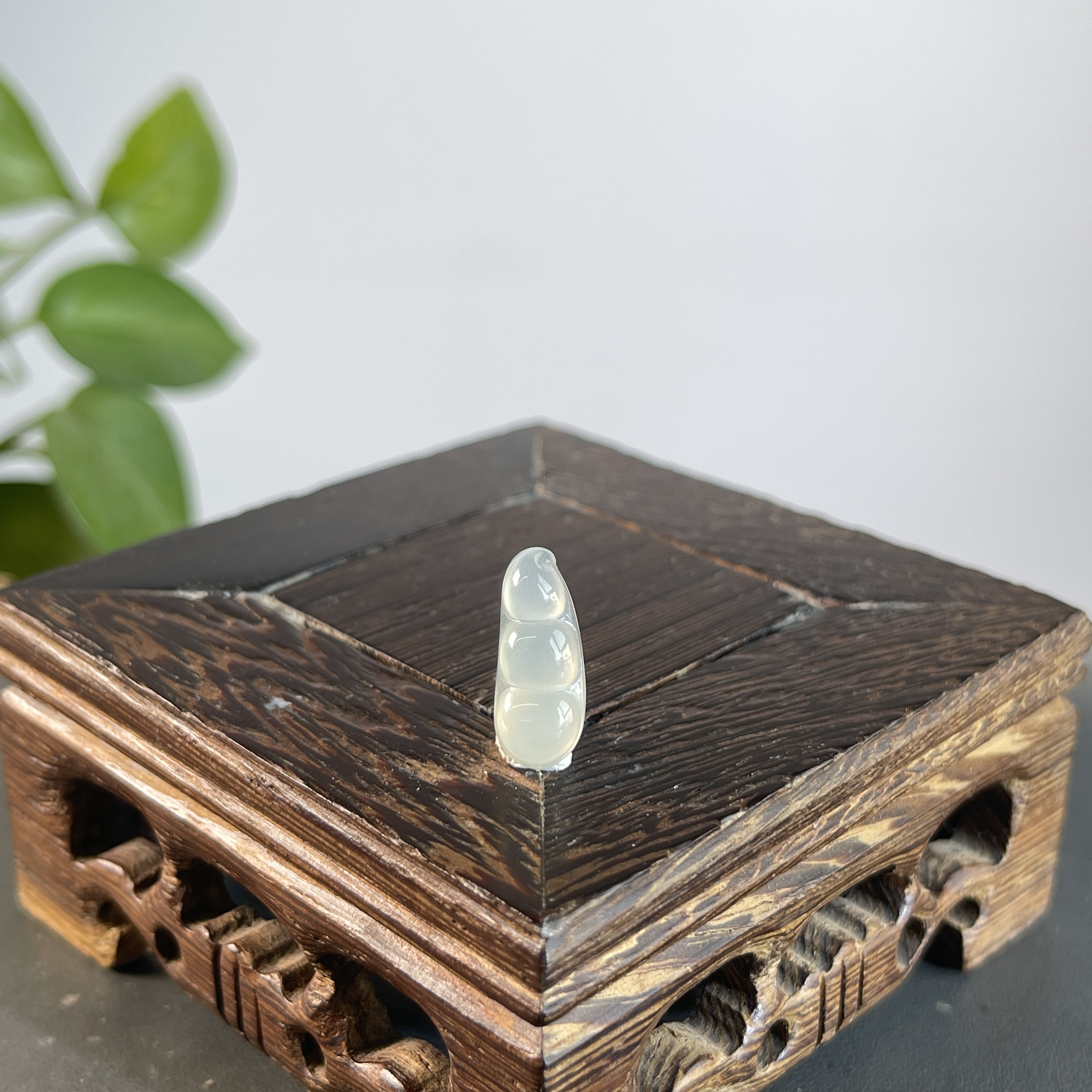 JCA23-014 天然翡翠缅甸A货 福豆