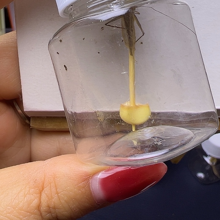 贰***哥哈哈哈哈哈哈哈哈哈哈哈哈哈哈