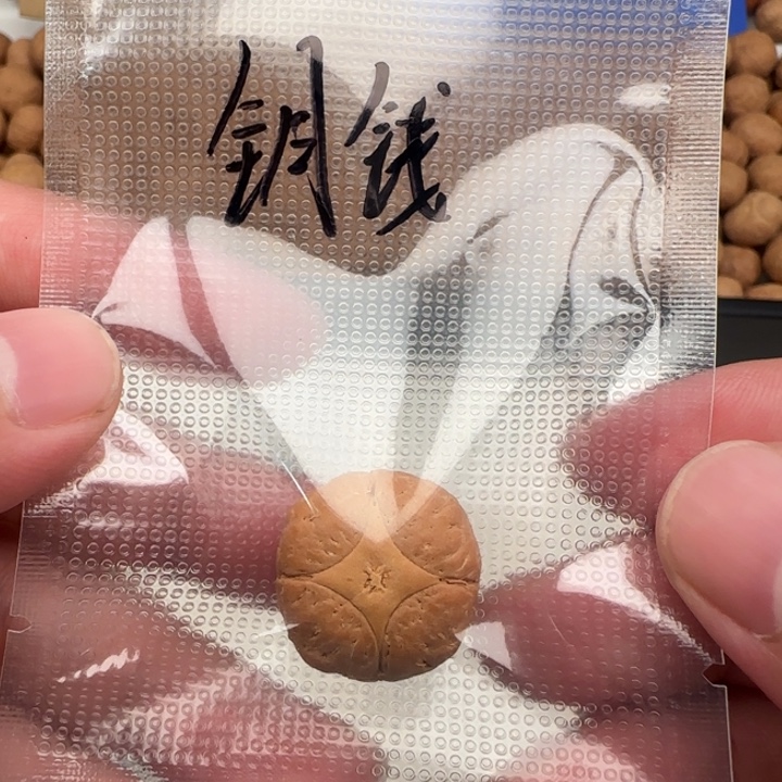 吊坠凤眼菩提21➕精品麒麟