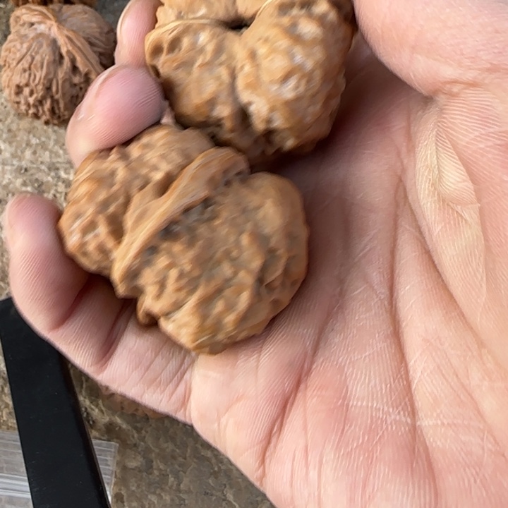 Z***e文玩核桃把件蛤蟆头