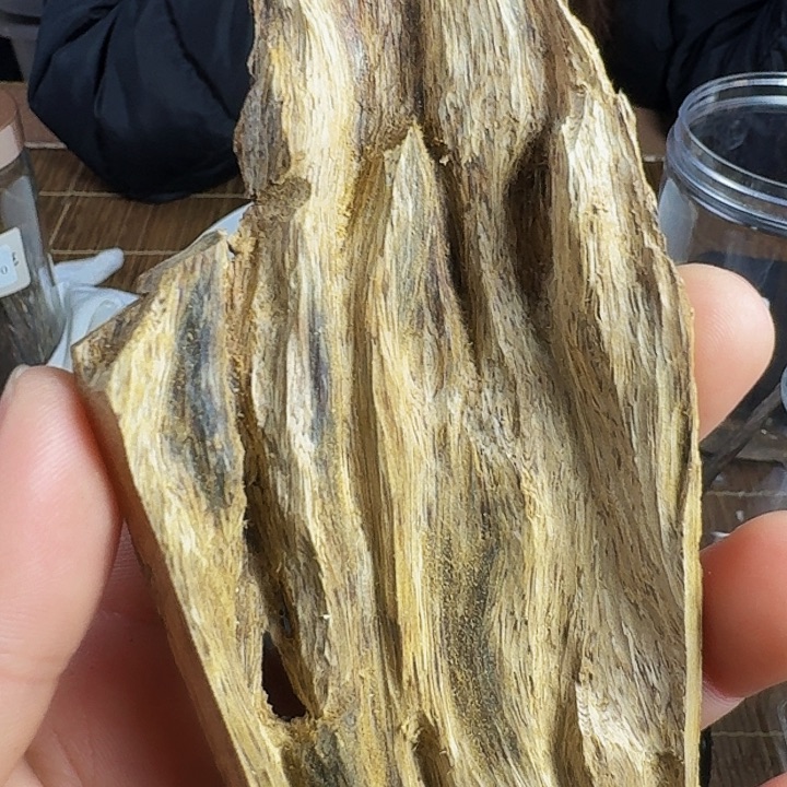 沉香沉香木制品踏**痕百年虎斑棋17克