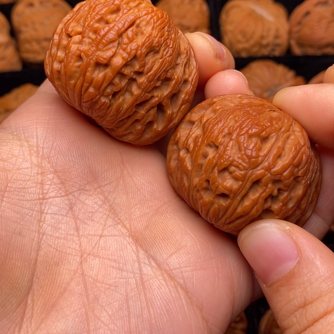 文玩核桃把件秦岭野生核桃