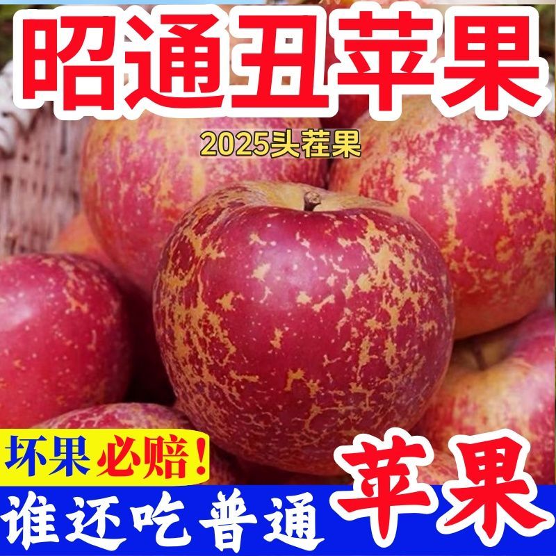 2025J新鲜云南昭通丑苹果华硕高原红富士当季现摘脆甜多汁9斤