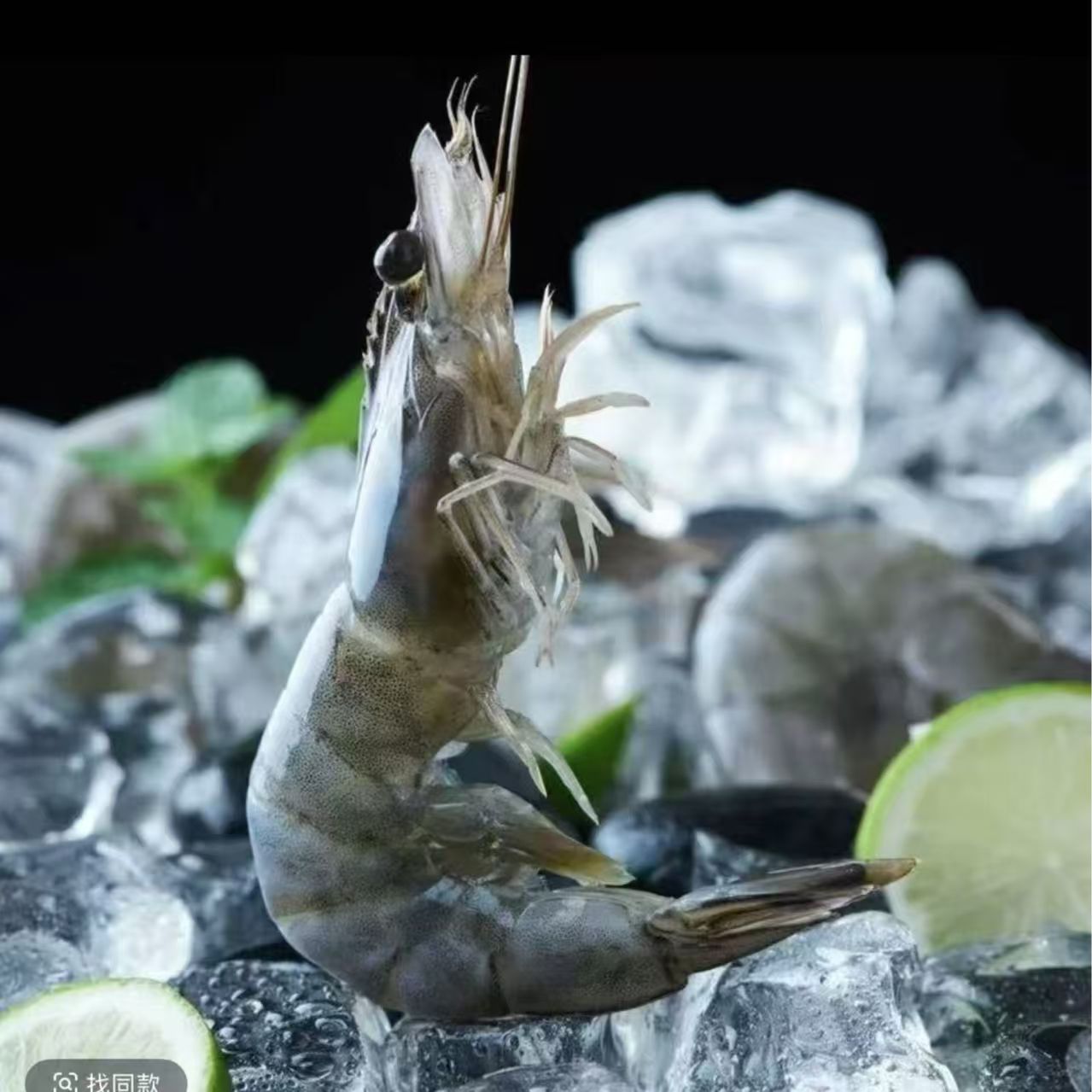 【海洋大虾】肉质鲜嫩大个头海水大虾单只16cm左右，一盒4斤40-50只海鲜-24夏