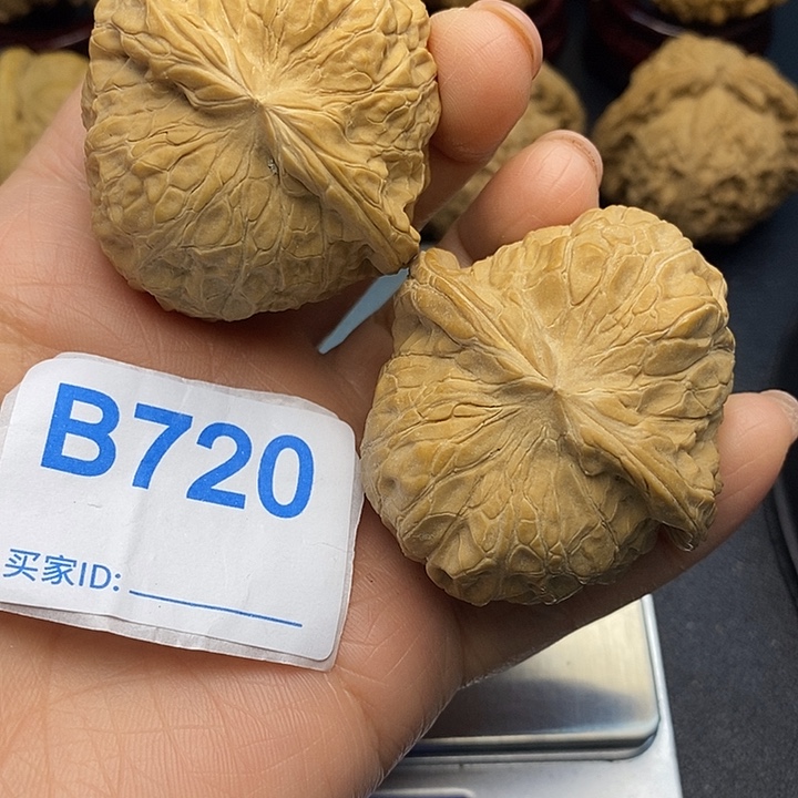 奋***斗核桃南瓜4.7，南瓜