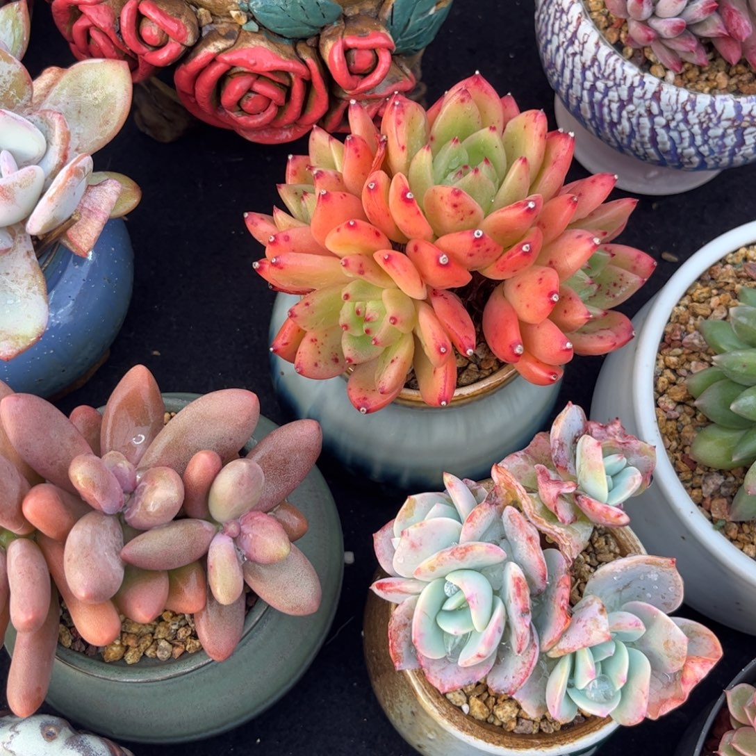 @****多吃点东西吃的东西