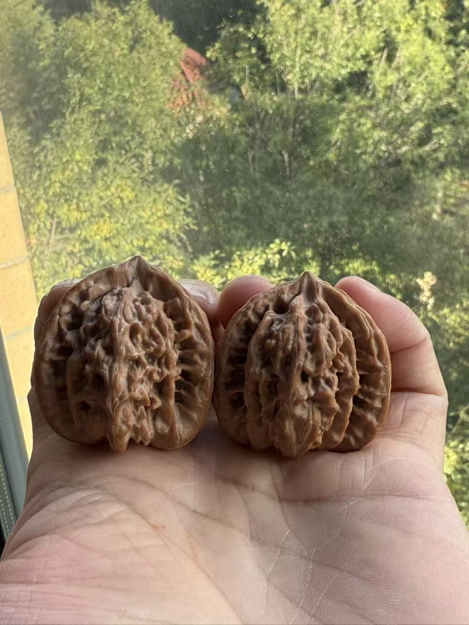 全品40尺盘龙虎头正奔