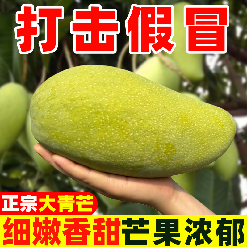 山海寻鲜季--青皮金煌芒云南大青芒当季新鲜热带水果现摘现发
