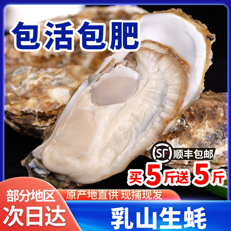 【买5斤送5斤】顺丰包邮正宗乳山生蚝牡蛎原产地直发海蛎子火锅蒸煮
