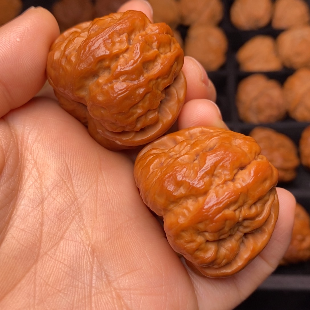 秦岭野生文玩核桃