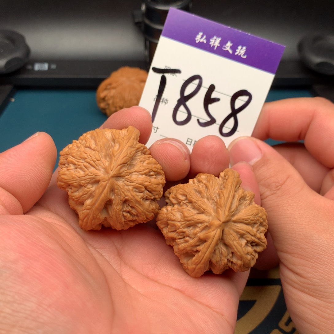 文玩核桃把件43.5全品粗筋858