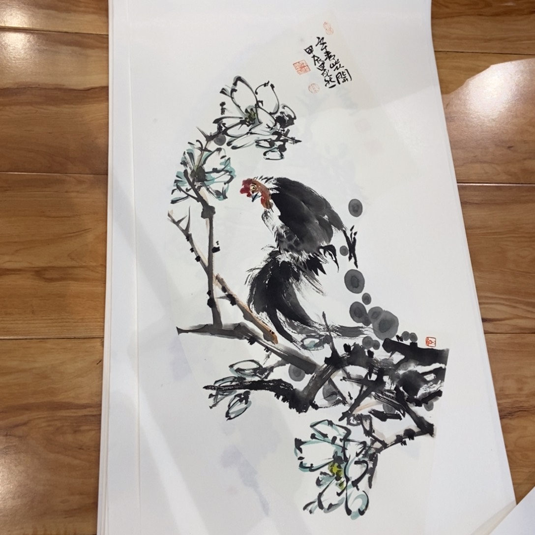 【闪购商品】国画大*墨鱼精品墨鱼精品