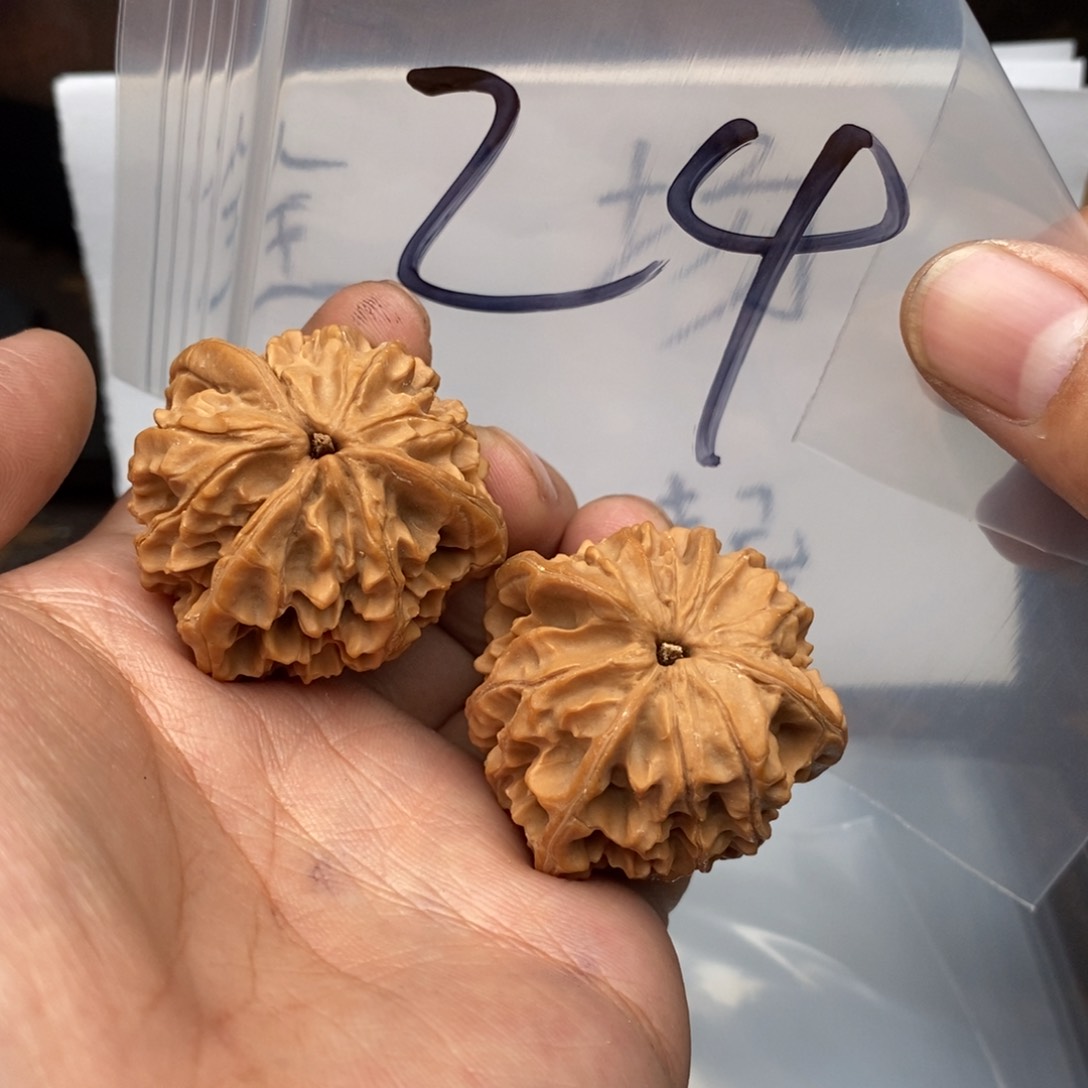 庆*诺W386683946694964946