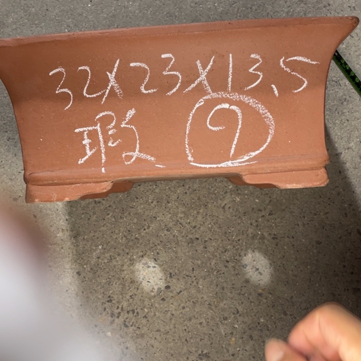 周深周深周深周深 