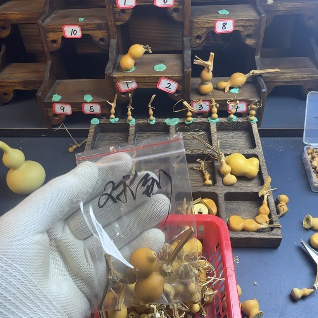 对***条我也是很喜欢这个节目的呢