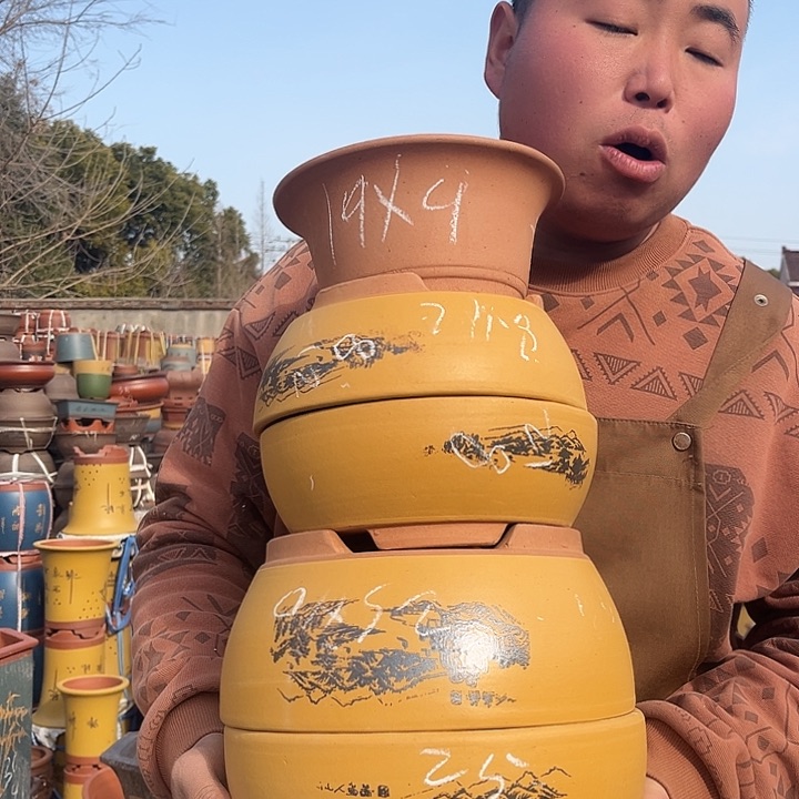 紫砂紫砂花盆盆栽