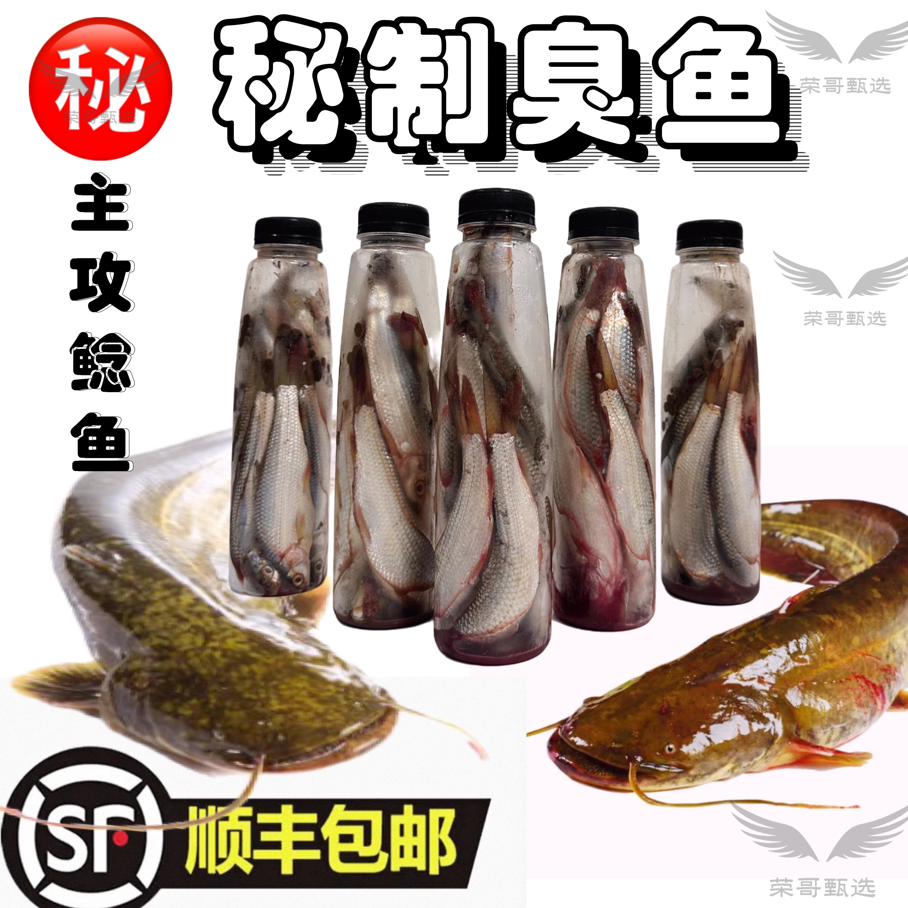 【顺丰包邮】臭鱼钓鲶鱼垂钓江河湖泊大鲶鱼