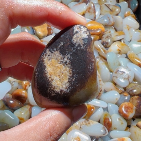 和田玉（糖玉）手链未镶嵌6