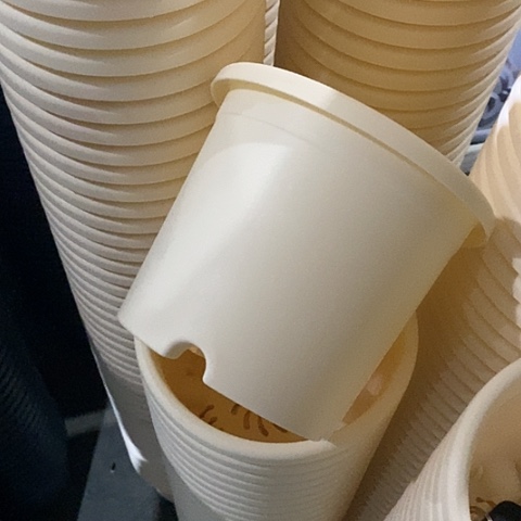 树脂四季2号米黄无托12个