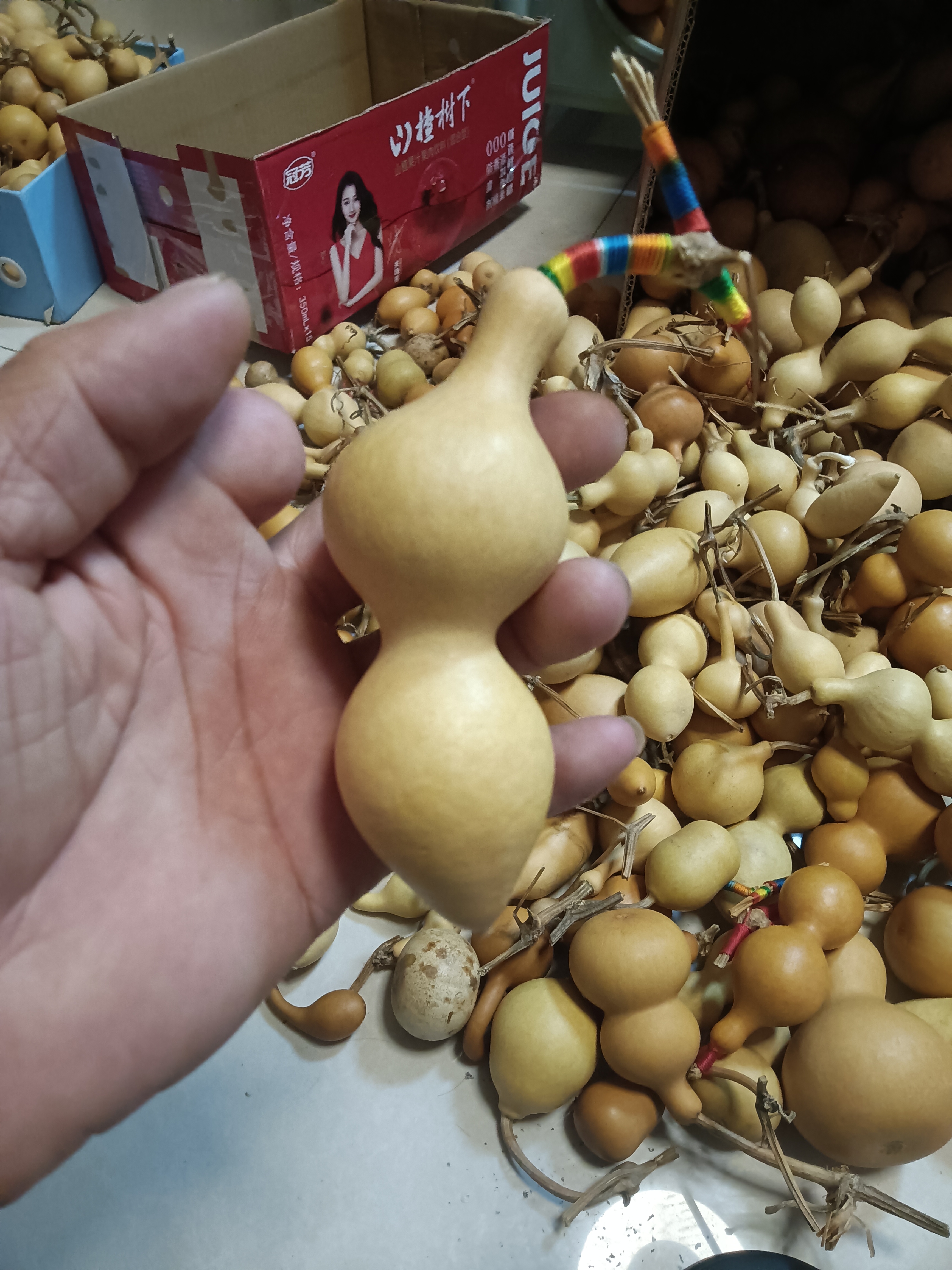 蚂蚁器型厚皮响子葫芦