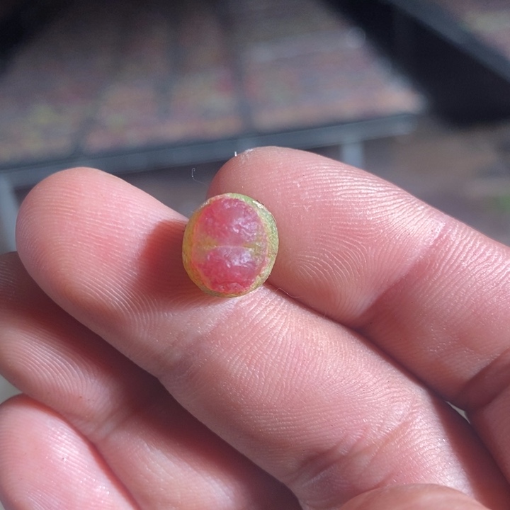 23231一个一个一个