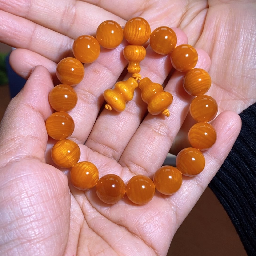 贝壳杉帝王血龙木1.2