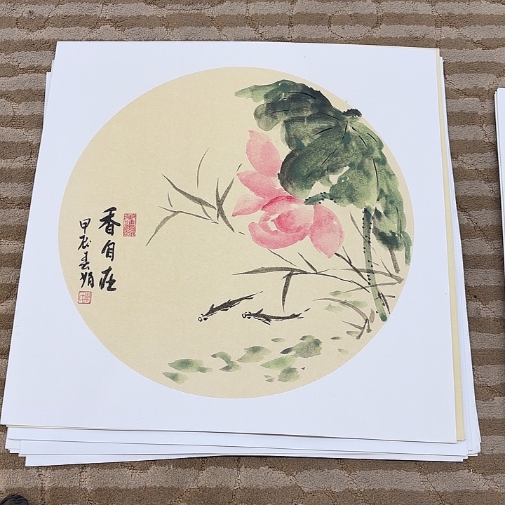 国画花鸟的翅膀和翅膀50.50