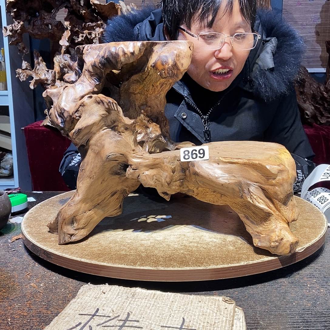 创***师869。株木随行根艺