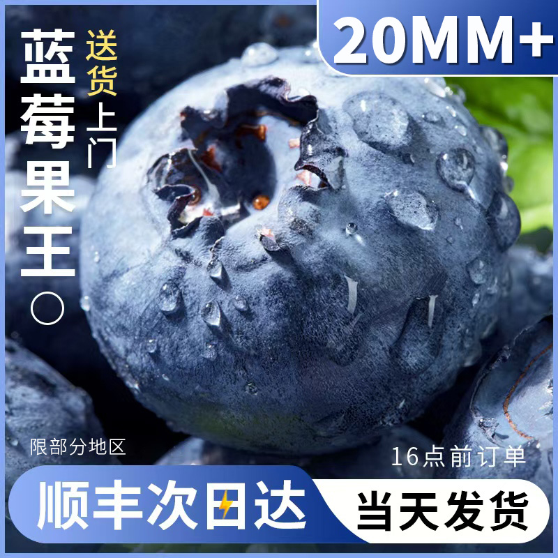 云南蓝莓20mm鲜果新鲜高端水果当季怡颗高山L25花香整箱顺丰包邮