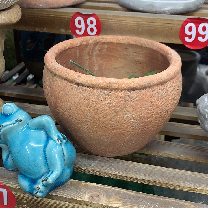 红陶抱**芳8688589658889988