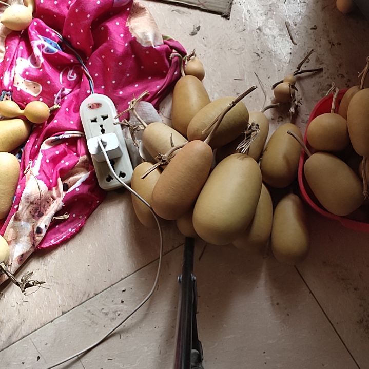 烙***跃天然葫芦10个东瓜葫芦