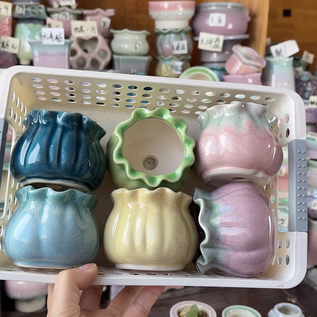 量货/口5高6深浅搭配发6