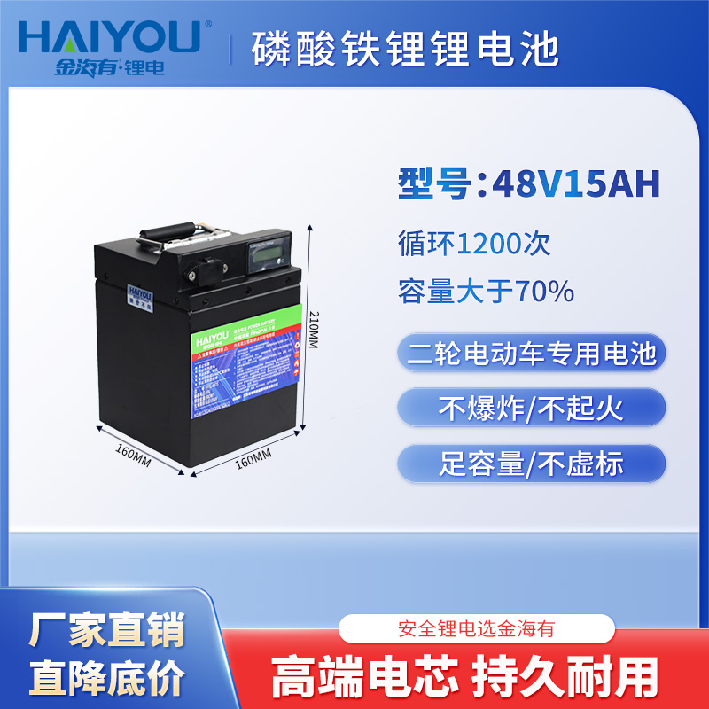 48V15AH大容量磷酸铁锂电池两轮电动车快递外卖专用