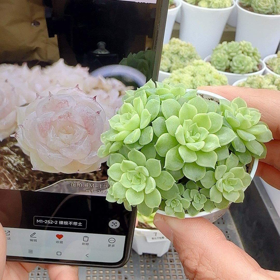 安****1105-9（m1-252-2）优选