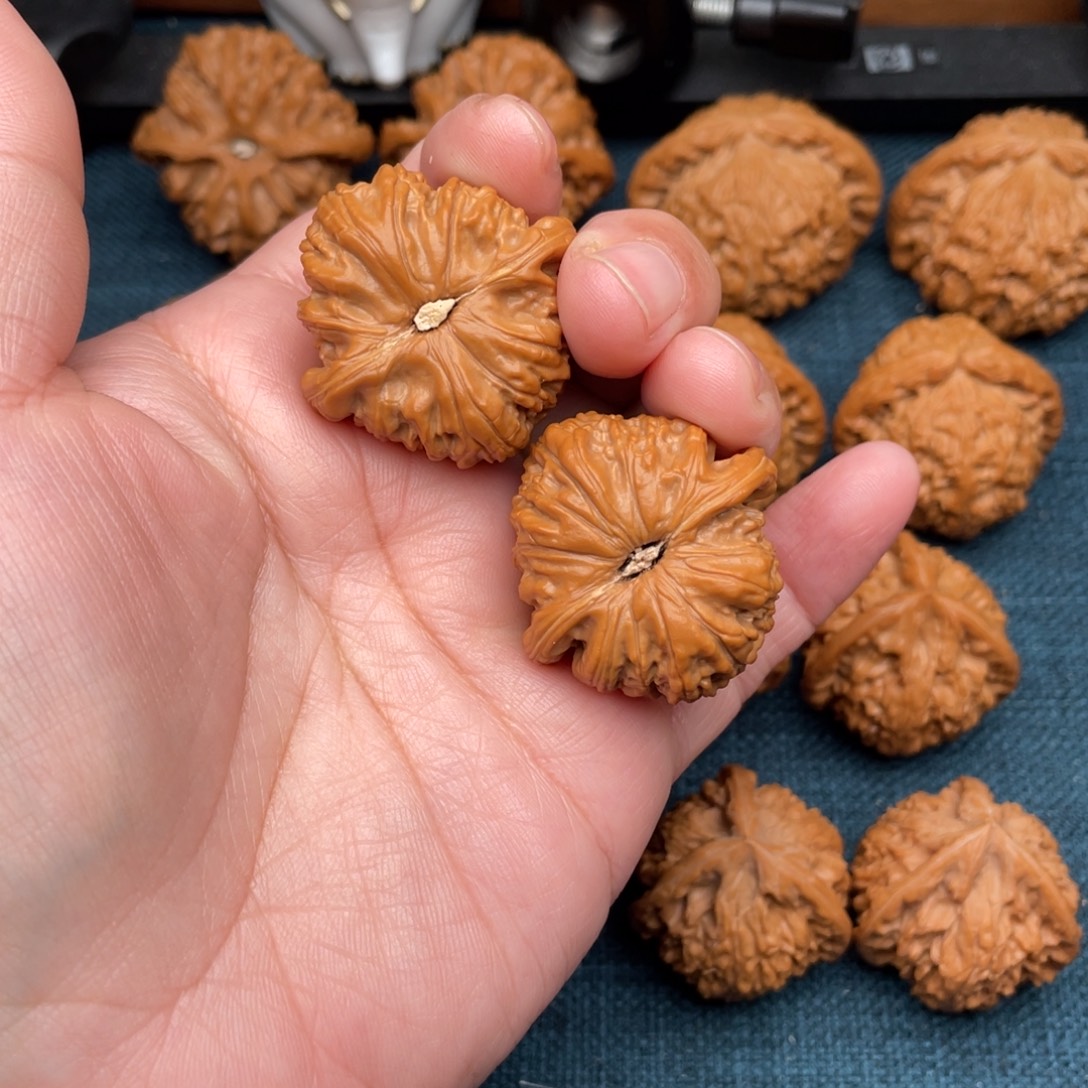 X***X把件文玩核桃全品红皮白狮子36