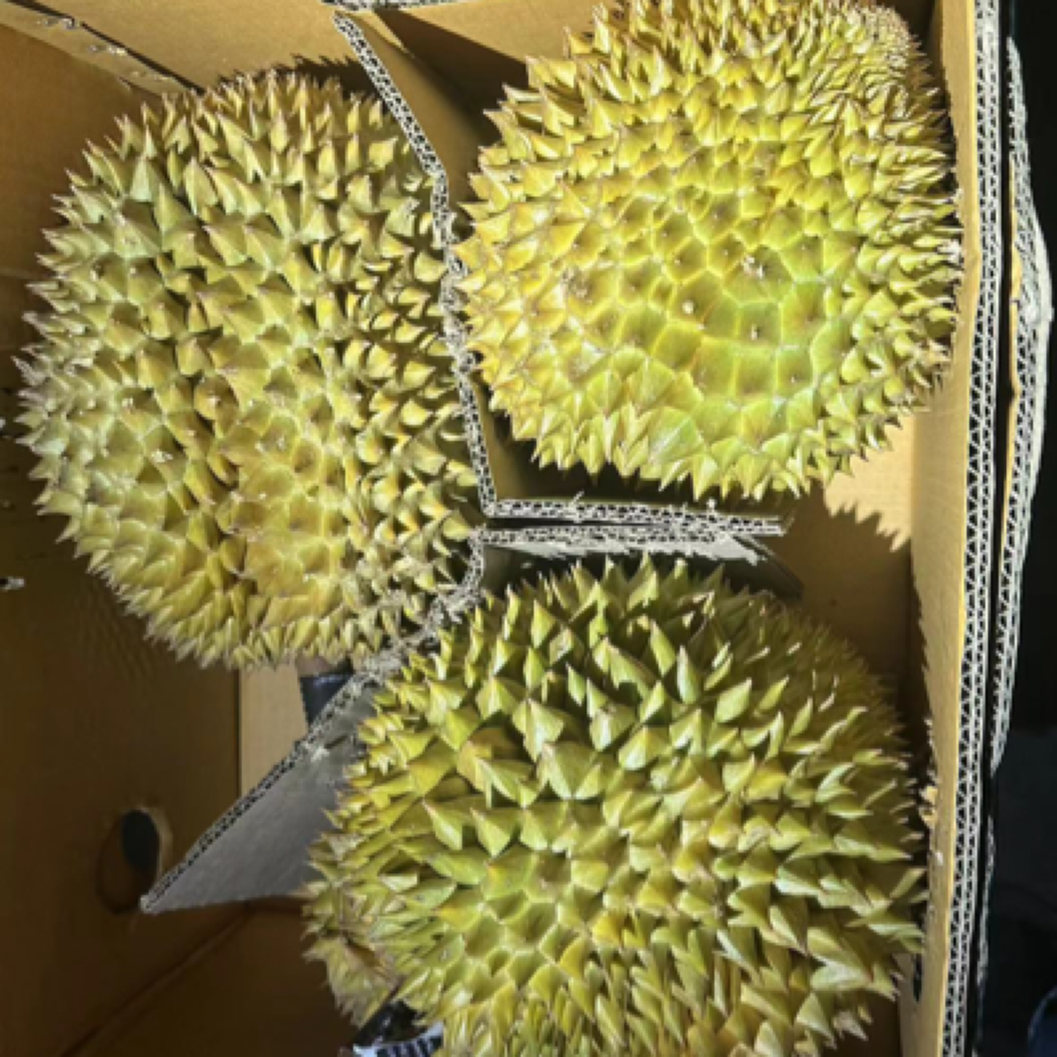 《4号》金枕榴莲纯肉泰国树上熟新鲜榴莲核小一斤金枕泰国