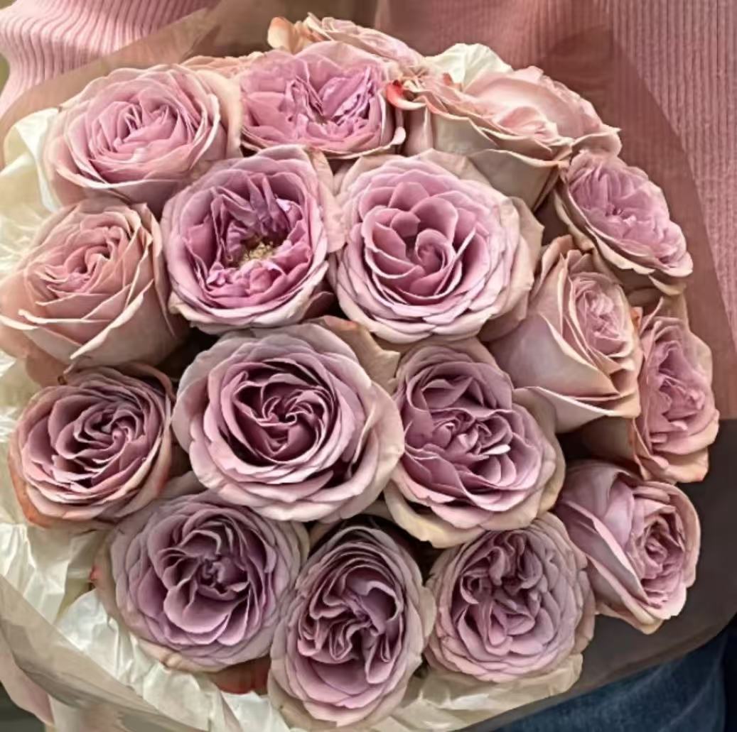 【藩篱匠人/紫色卡布奇诺】紫色浪漫 单头玫瑰办公家用装饰鲜切花