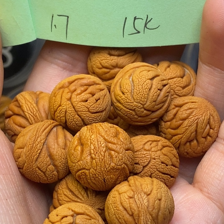 吊坠桃核秦岭龙纹桃核17