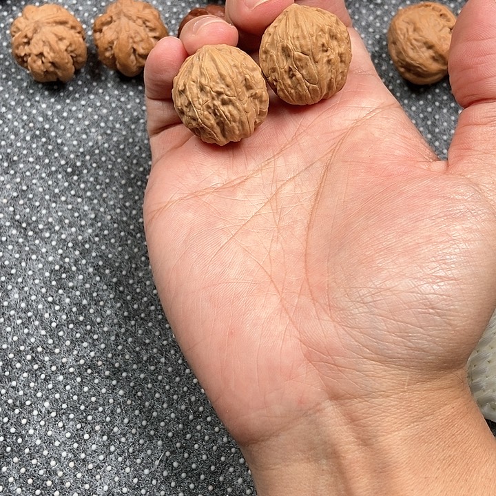 文玩核桃吊坠胖闷尖26