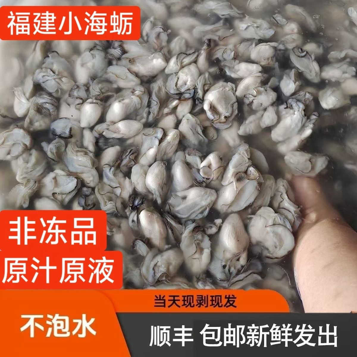 顺丰空运包邮次日达莆田灵川海蛎新鲜现撬不泡水批发大连