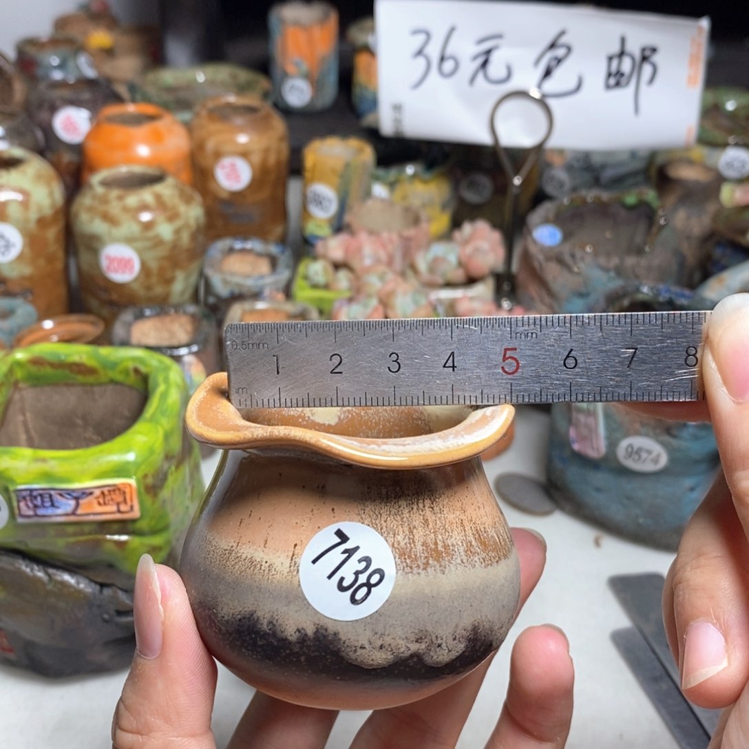 拍5送一个小礼物