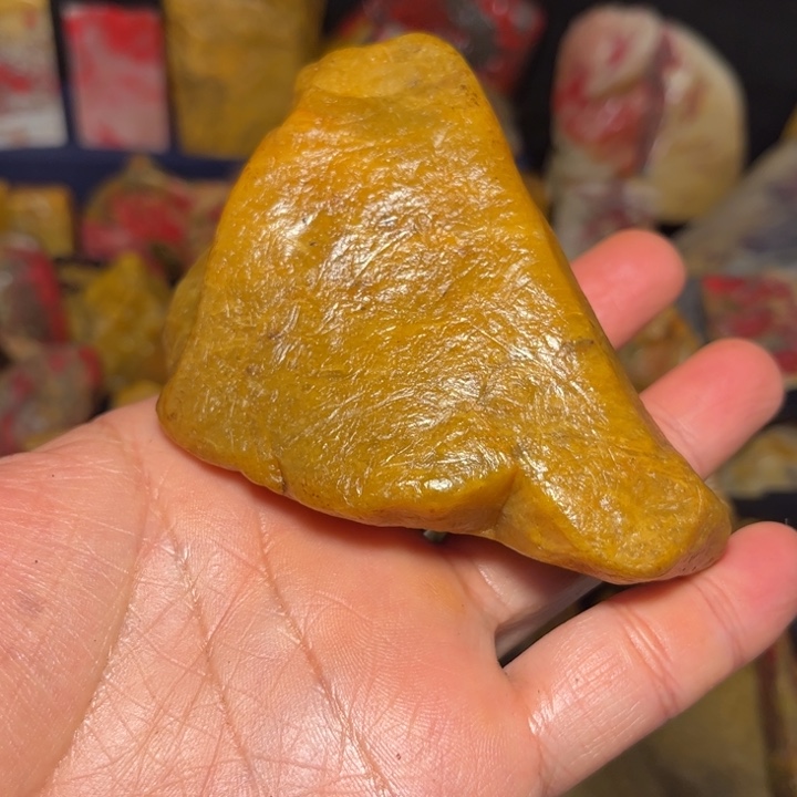 苍***晨昌化石国石昌化石