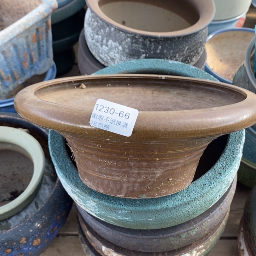 66号花盆内19.5高8.5