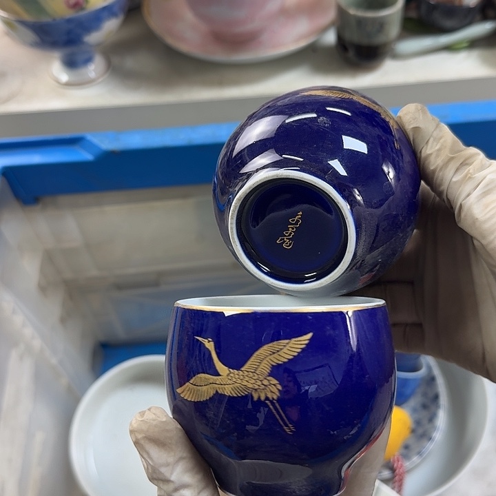碟开播啦…开播啦