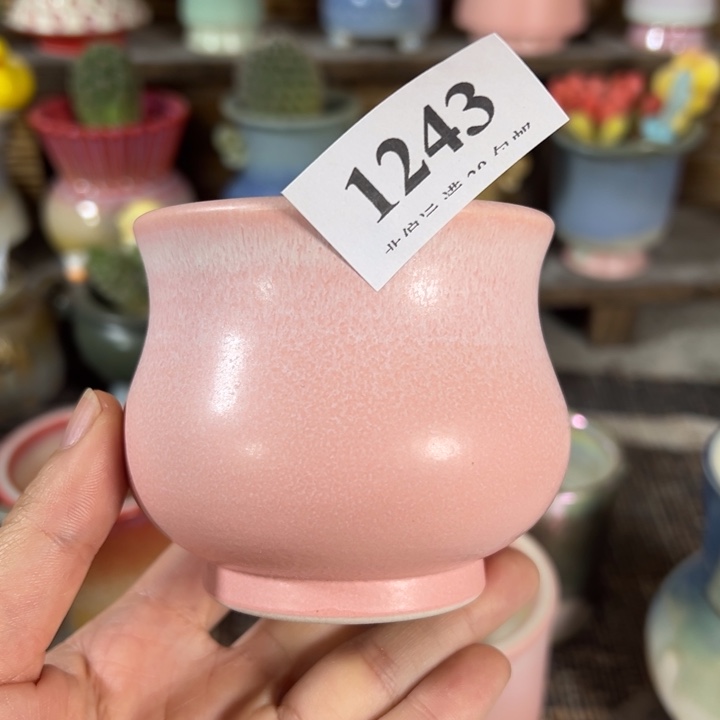 口7高6……点赞福利