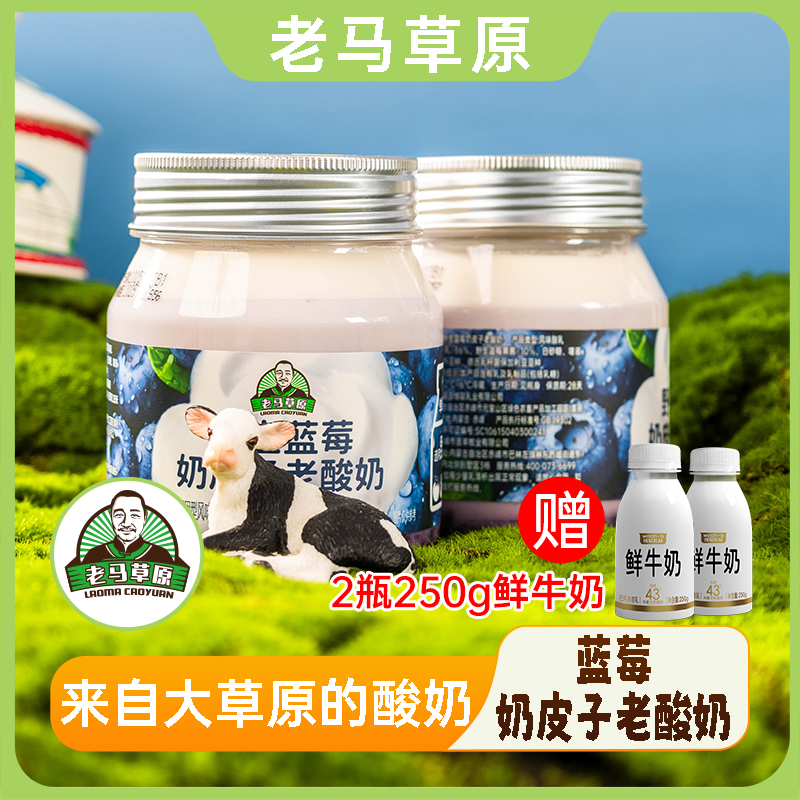 【直播专属】老马草原野生蓝莓奶皮子老酸奶400g*4桶送两瓶250g鲜奶