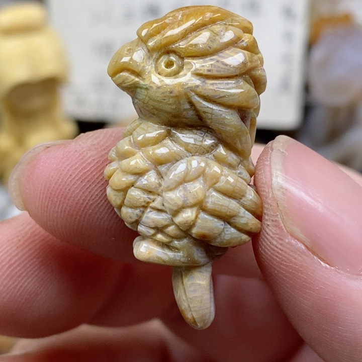 颈饰未镶嵌硅化珊瑚（珊瑚玉）